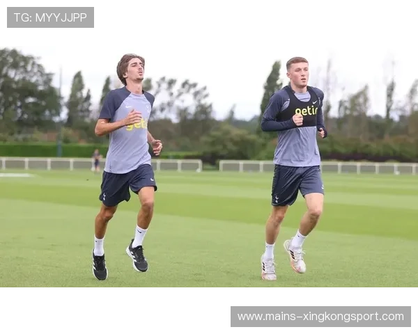 热刺布莱恩·希尔摆脱能力强