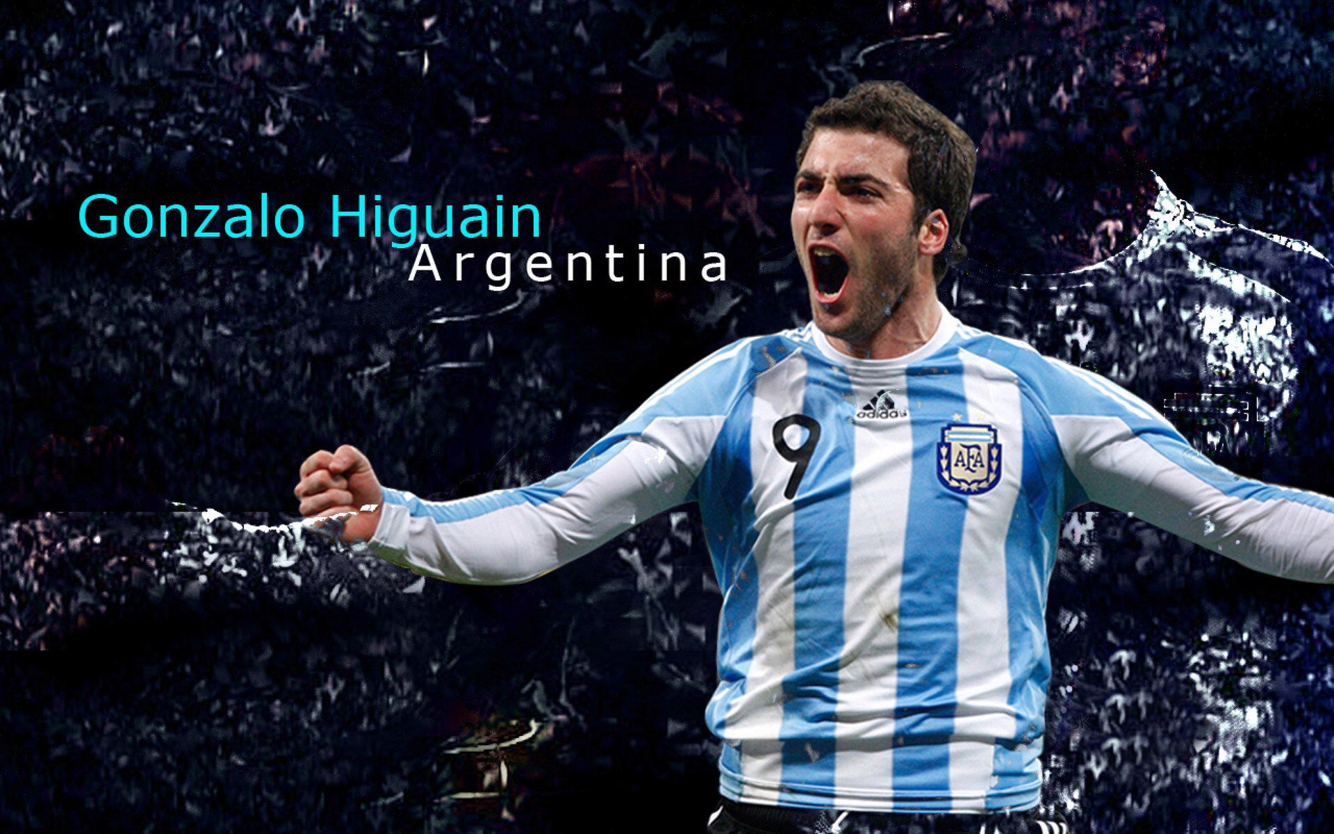 NBA冠军争夺形势